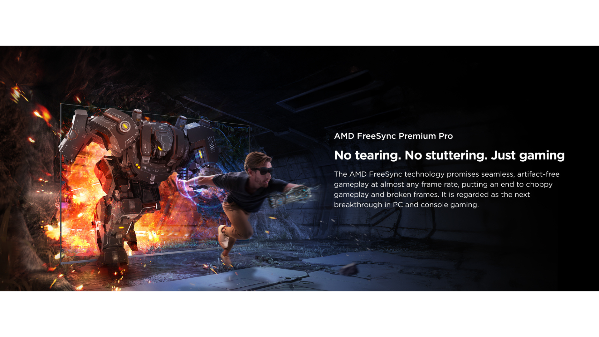 4-3 PC AMD FreeSync Premium Pro