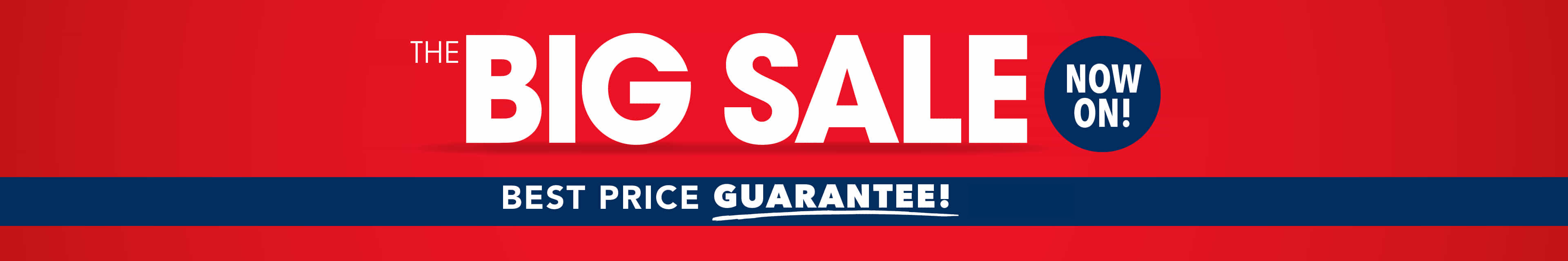 Big Sale Lead Banner