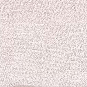 Biscuit Colour Swatch