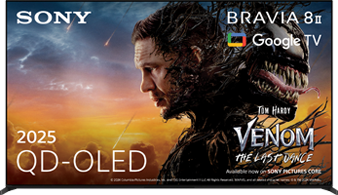 Large screen size models