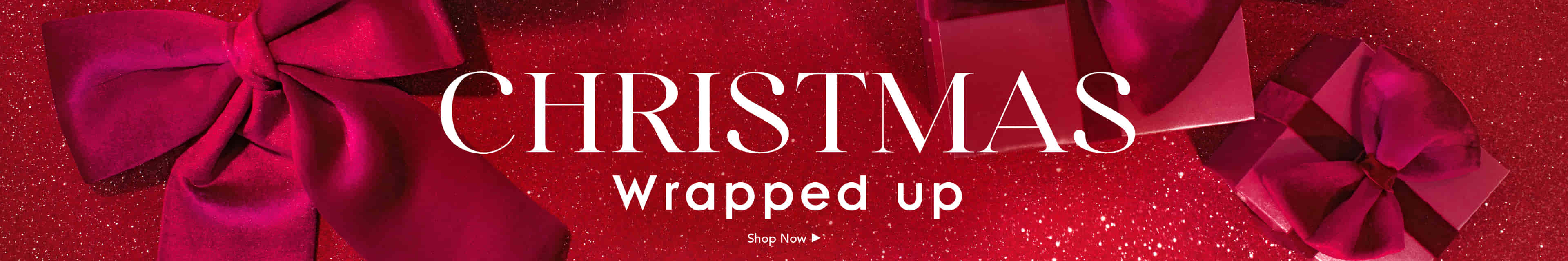 Christmas Wrapped Up Banner