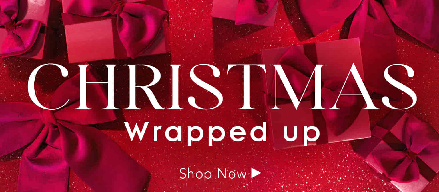 Christmas Wrapped Up Banner
