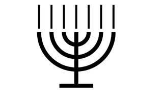 Liebherr Vinidor Freestanding 155 Bottles Wine Cooler | WPSD5252 -Home Appliances WPSD5252 22